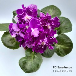 РС-Затейница (Репкина)